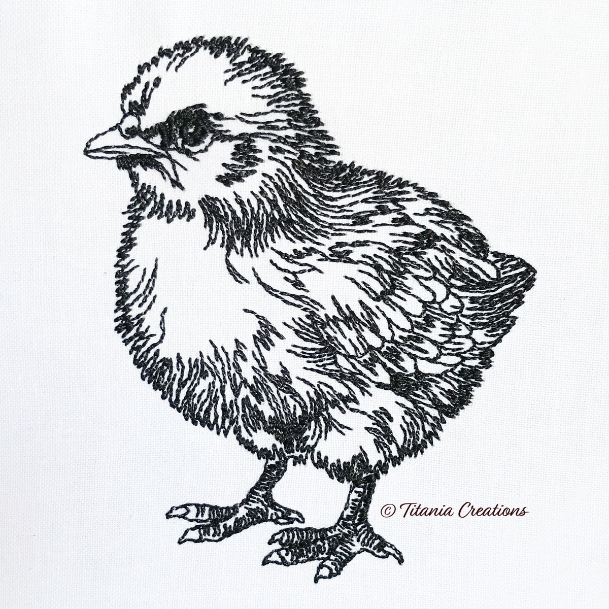 Line Work Chic 4 Sizes Included