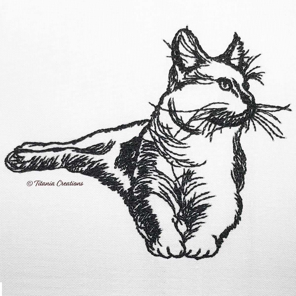 Line Work Lounging Cat 4 Sizes Included