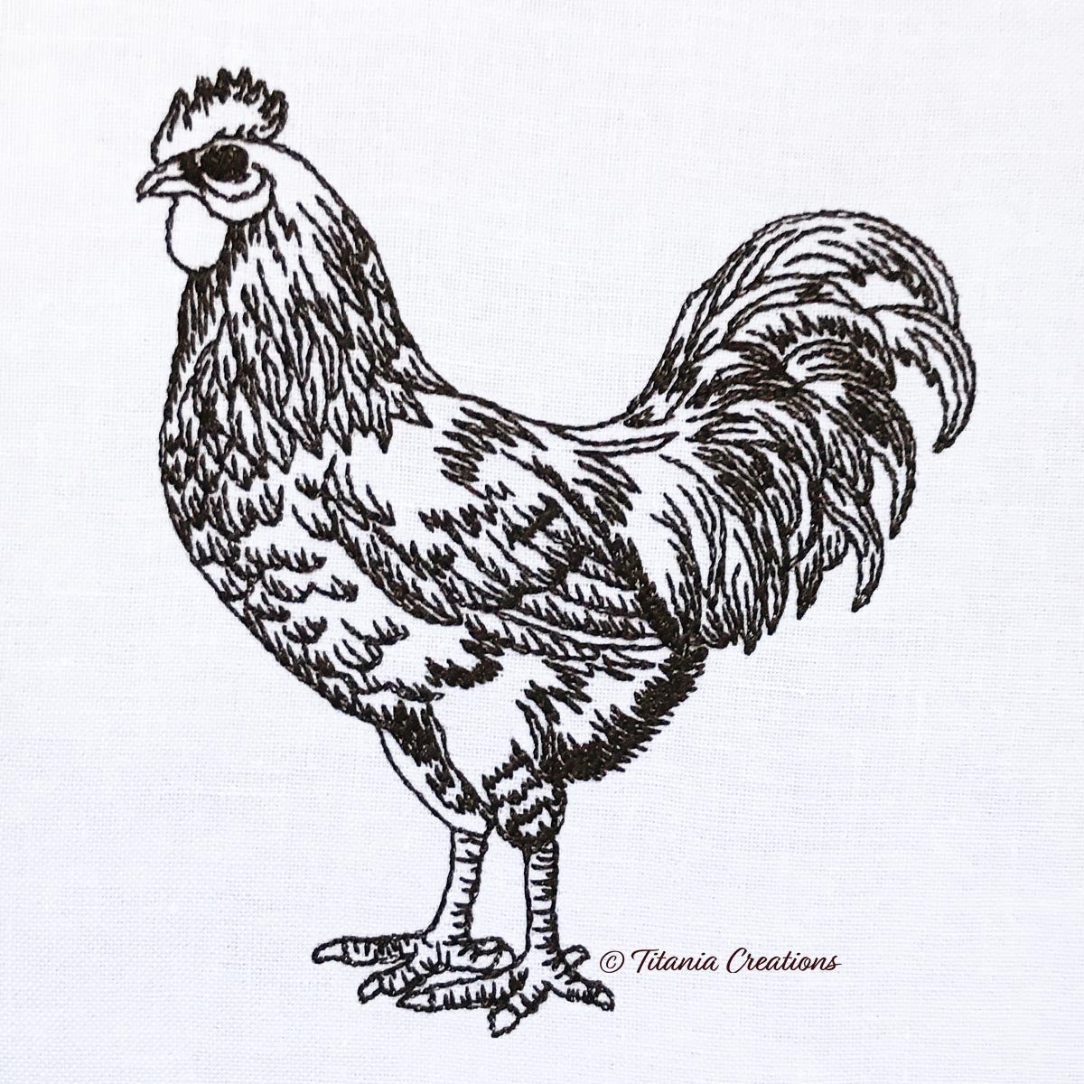 Line Work Rooster 4 Sizes Included
