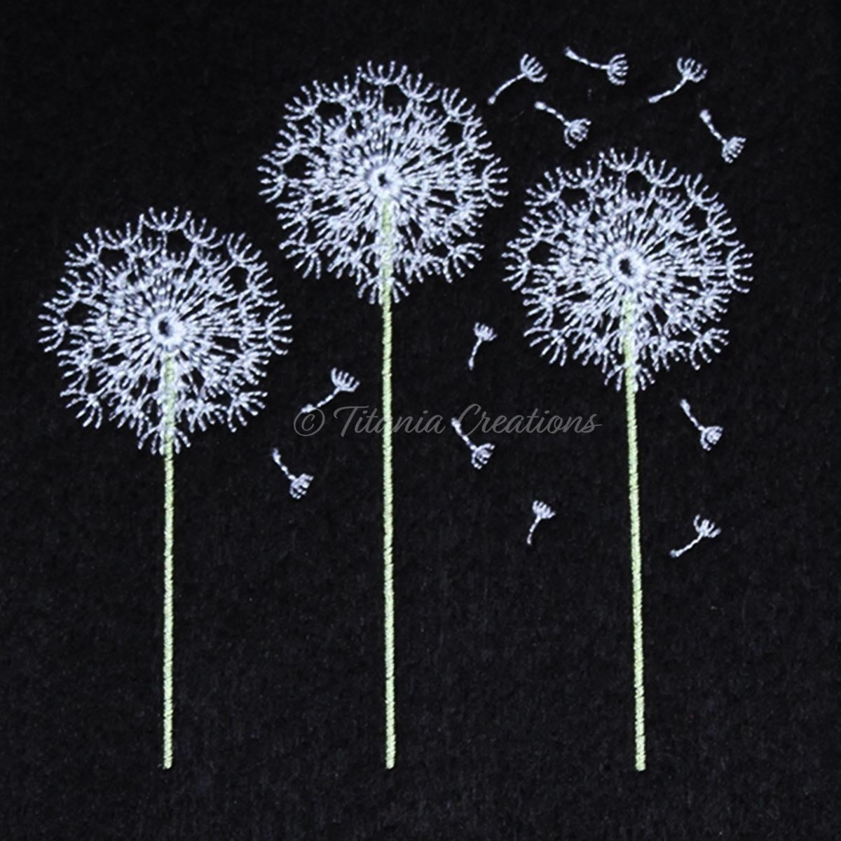 Dandelion Three Wishes 4x4 5x7