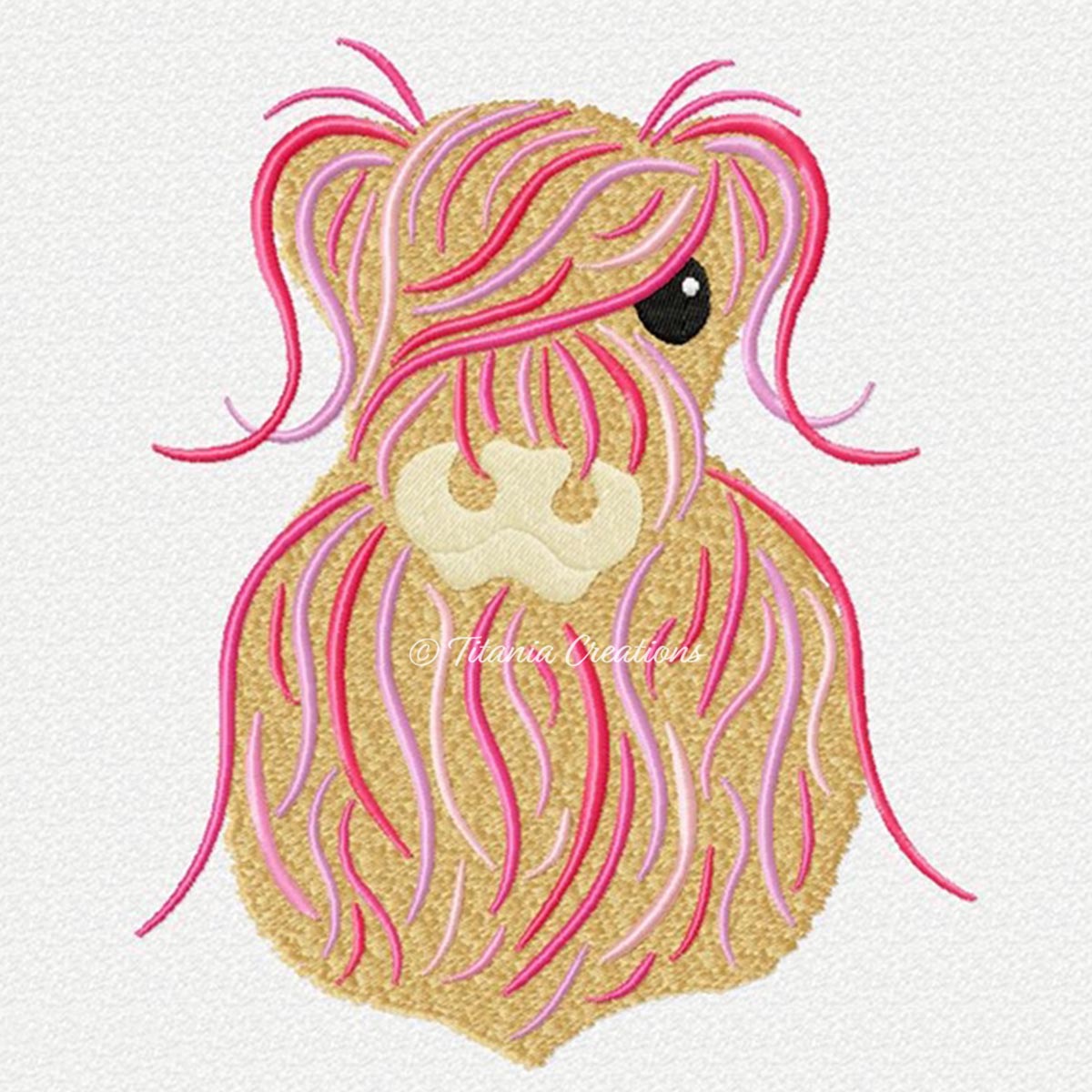 Heilan Coo 02 4x4 5x7 6x10