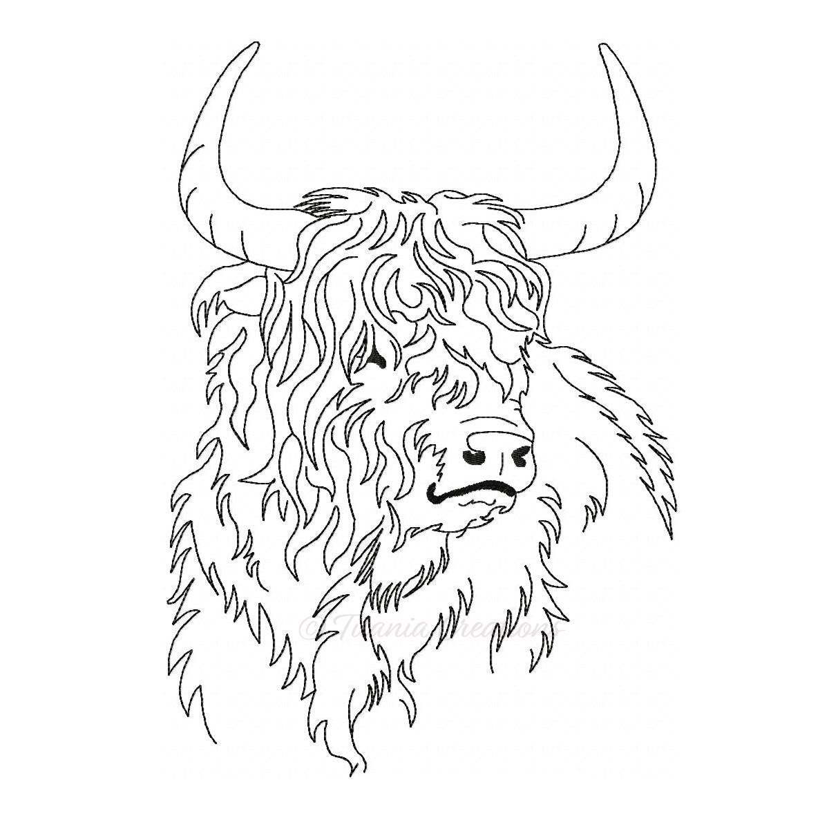 Highland Cattle 4x4, 5x7, 6x10, 8x12
