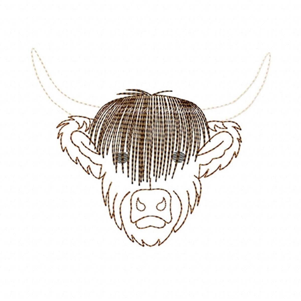 Highland Cow 4x4 5x7 6x10