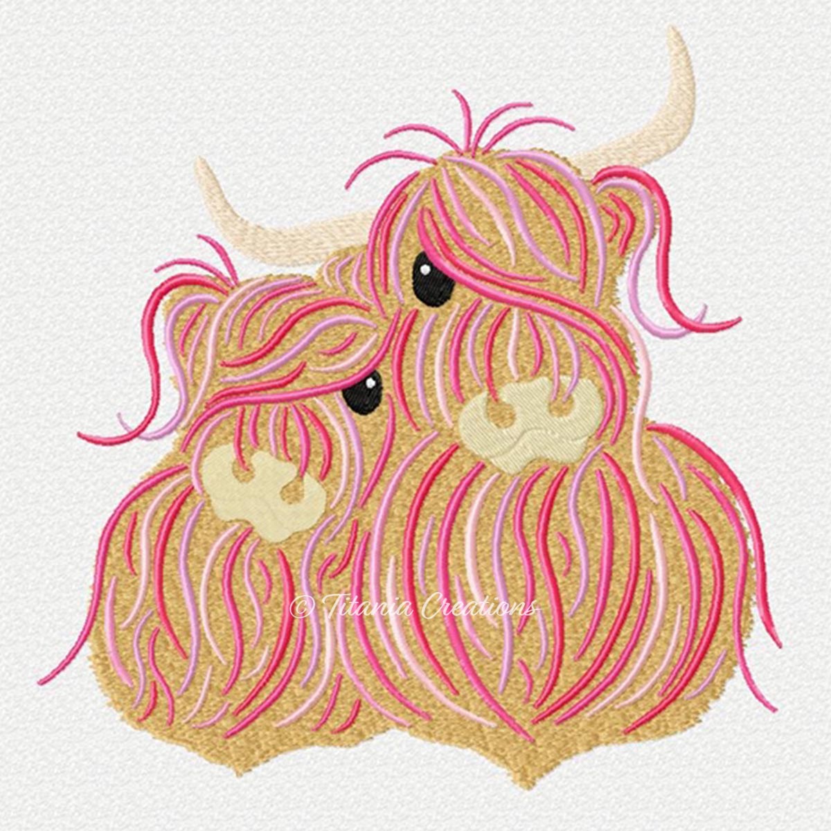 Heilan Coos 4x4 5x7 6x10