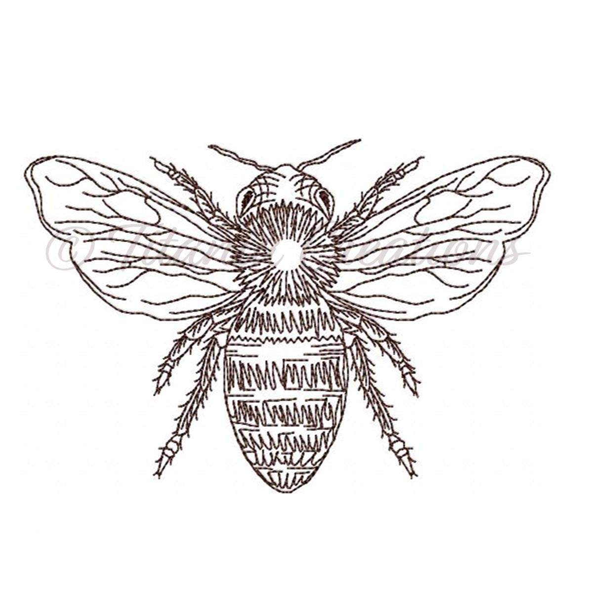 Linework Vintage Bee 4x4 5x7 - Titania Creations