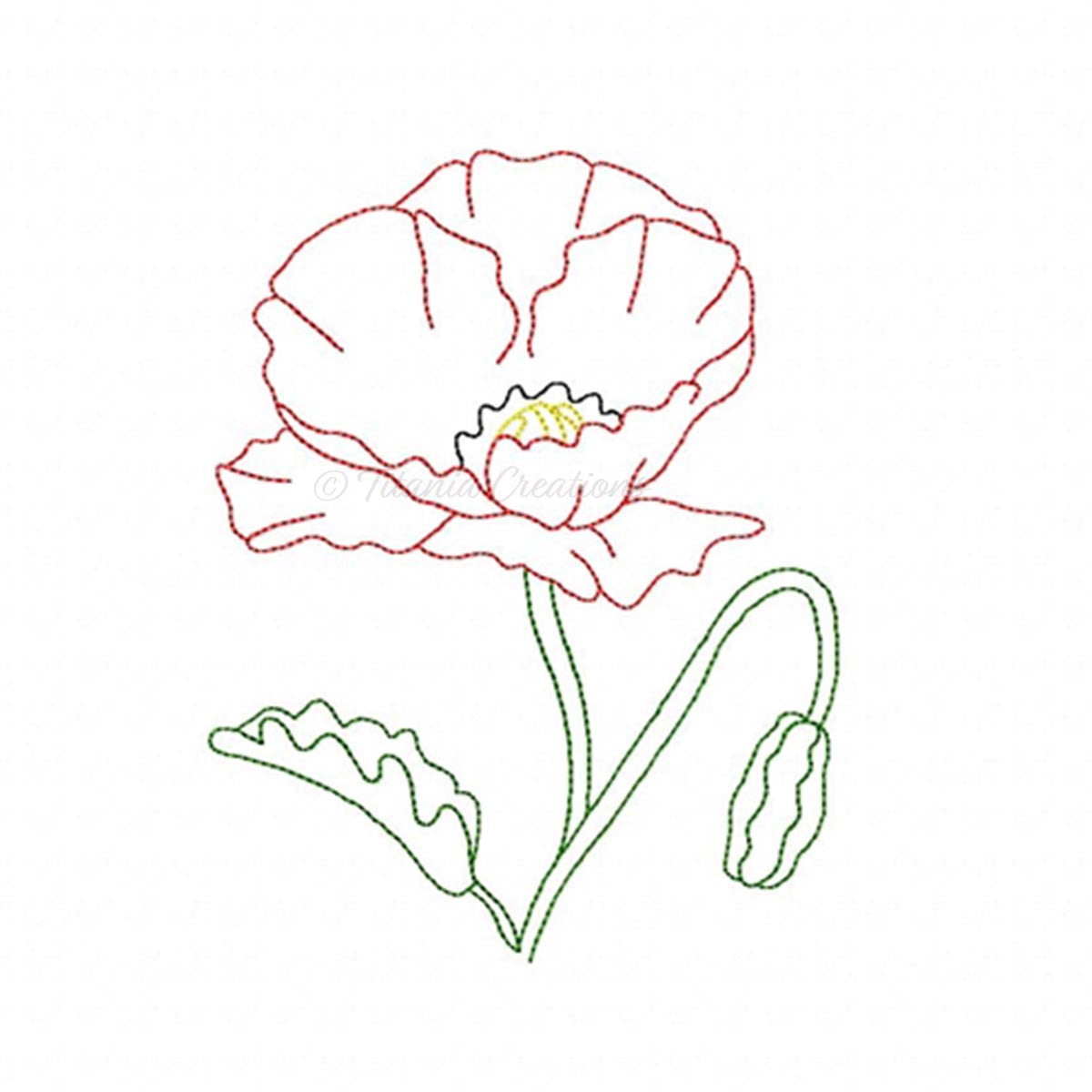 Poppy 4x4 5x7