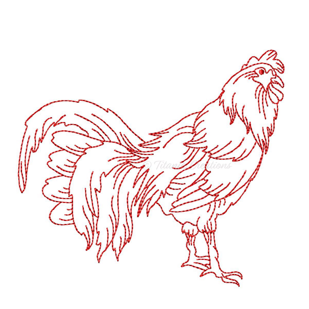 Rooster 4x4 5x7