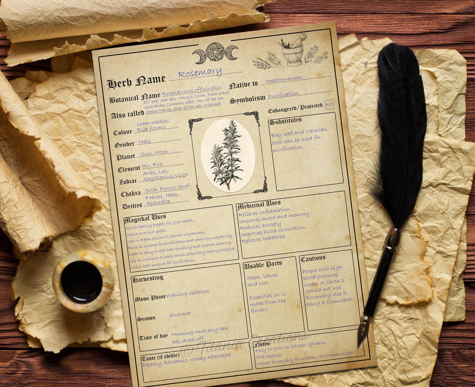 Herb Template Printable Pages