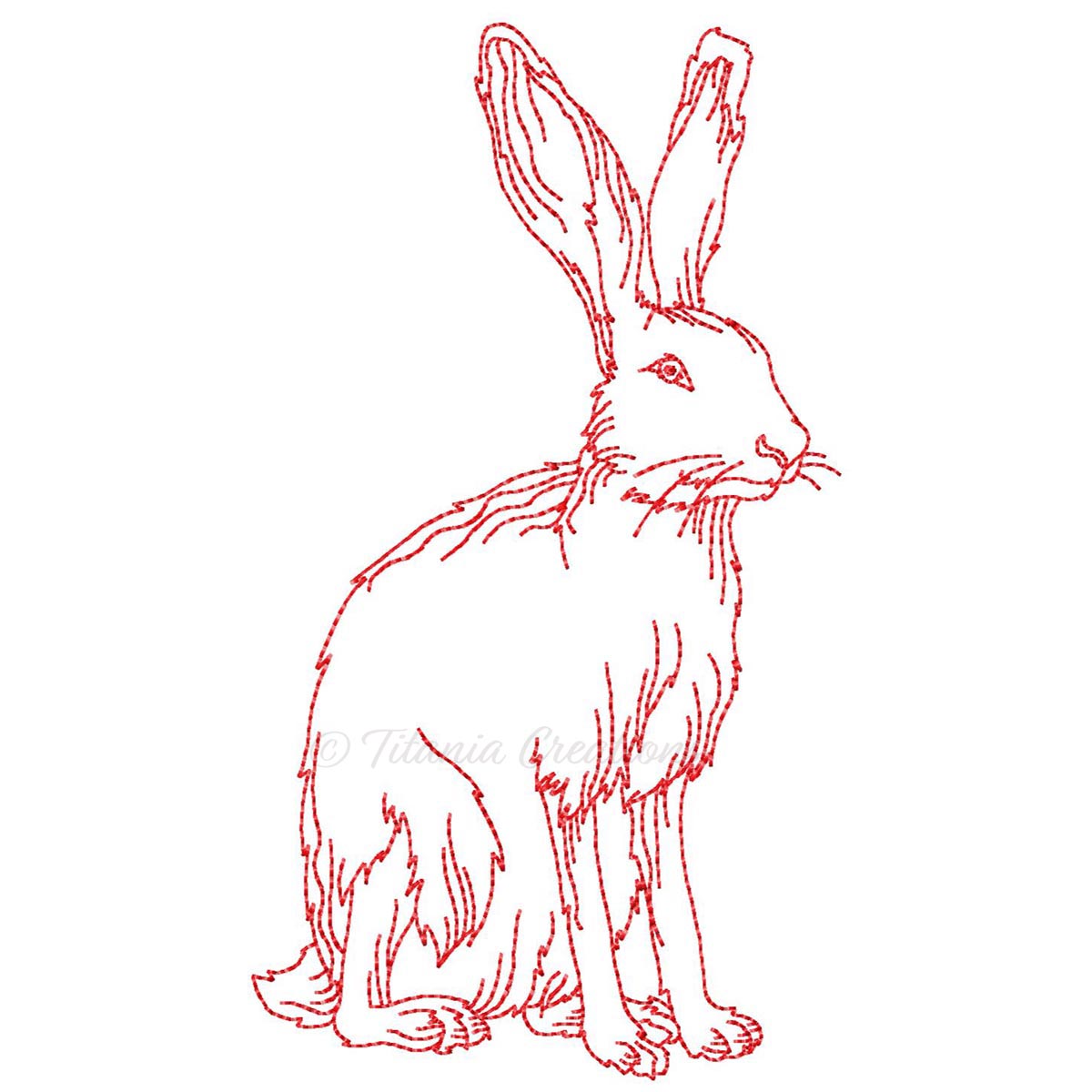 Sitting Hare 4x4 5x7 6x10