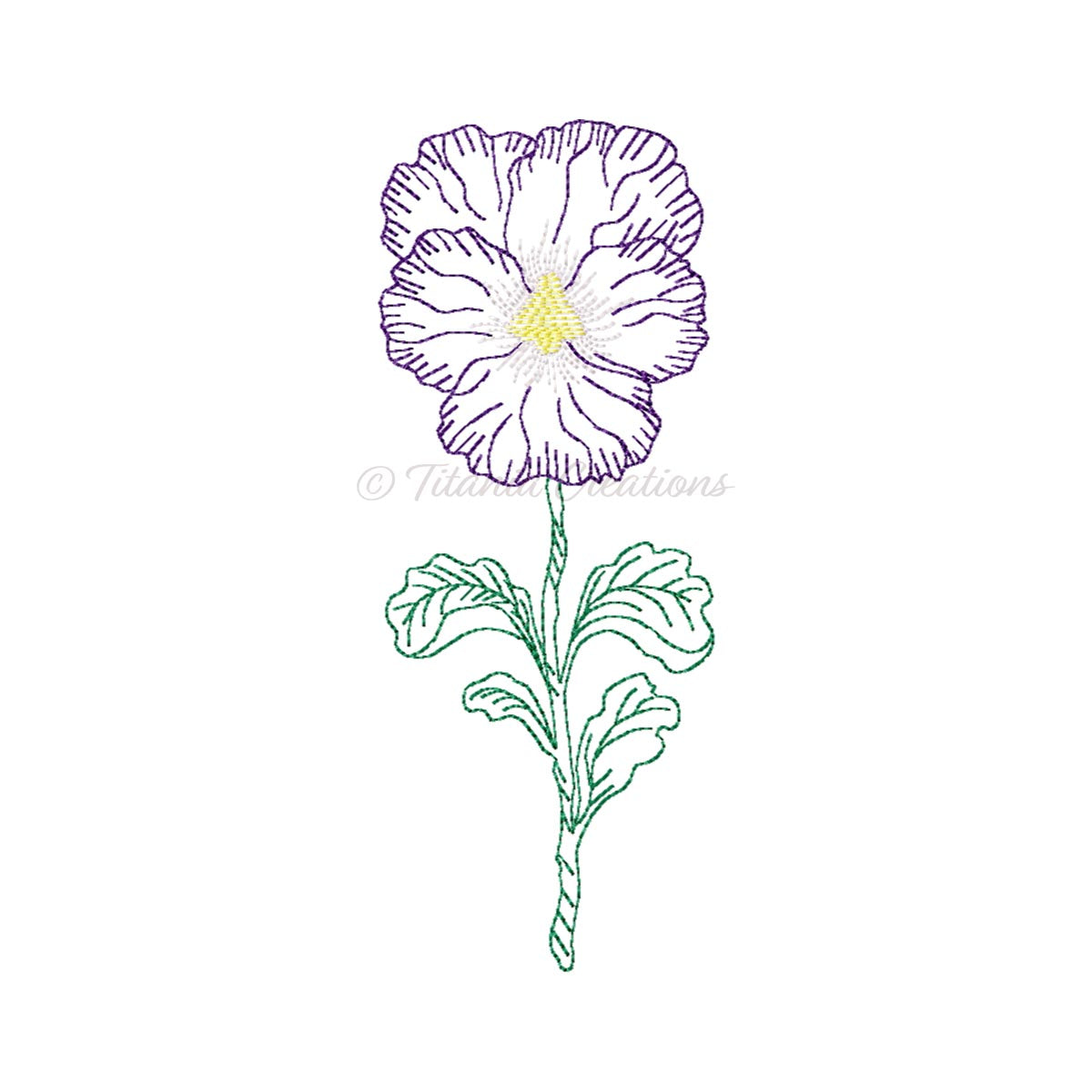 Sketch Pansy 4x4 5x7