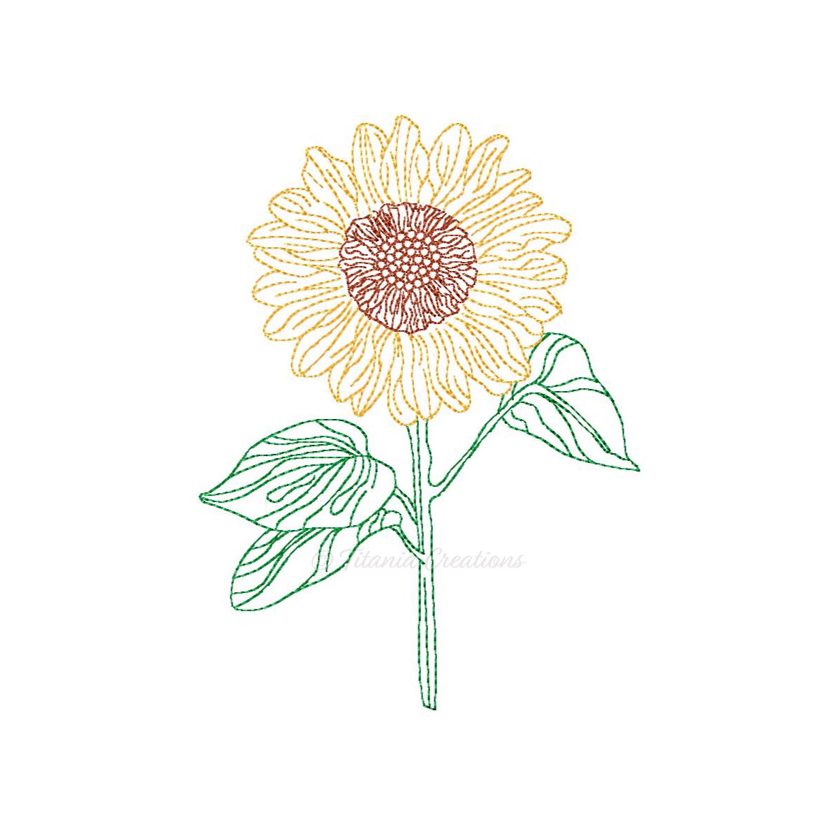 Sketch Sunflower 4x4 5x7