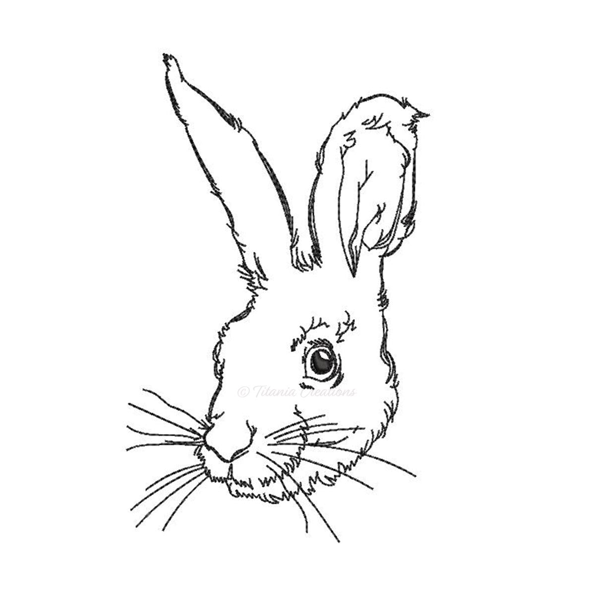 Linework Rabbit 4x4 5x7
