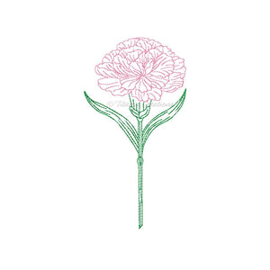 Sketch Carnation 4x4 5x7