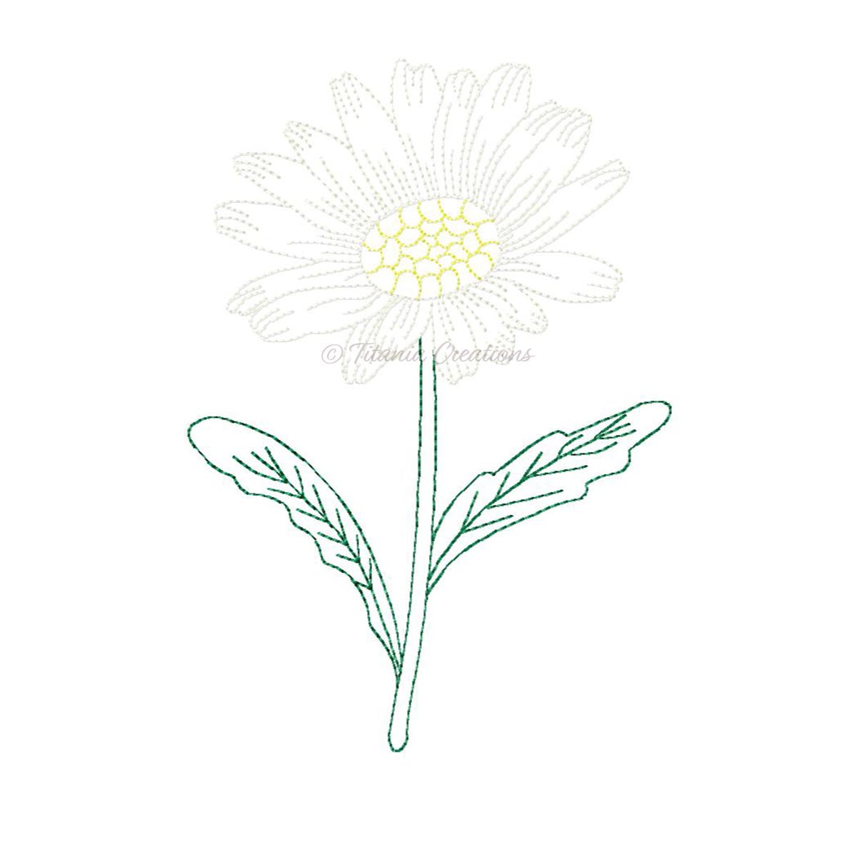 Sketch Daisy 4x4 5x7