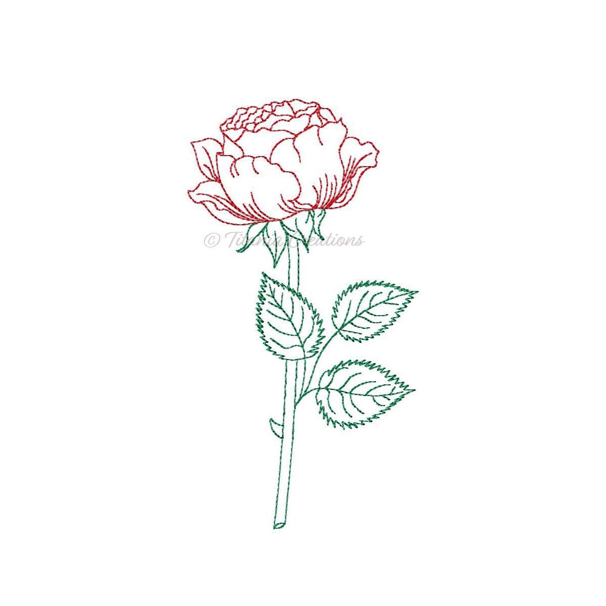 Sketch Rose 4x4 5x7