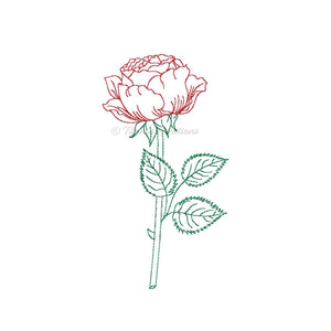 Sketch Rose 4x4 5x7