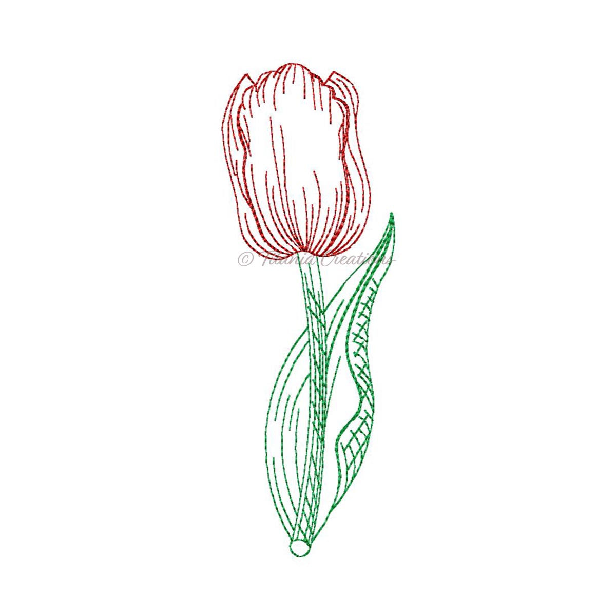 Sketch Tulip 4x4 5x7