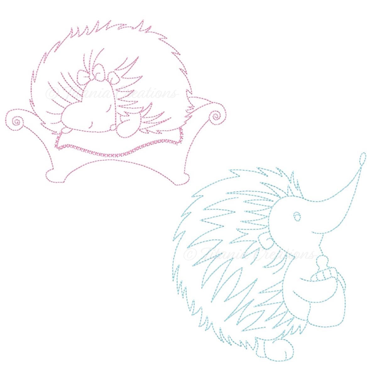 Boy & Girl Baby Hedgehogs  4x4 5x7