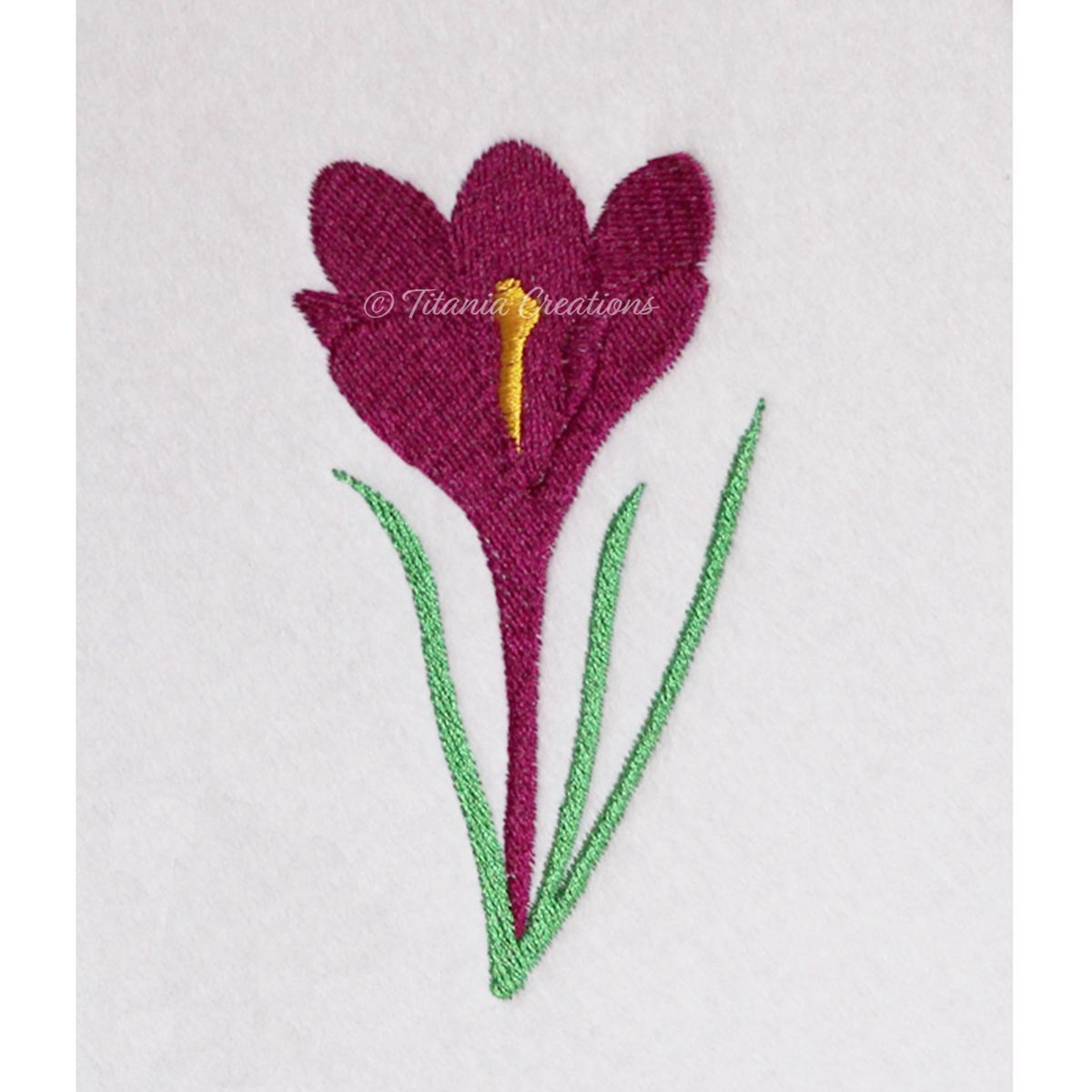 Crocus 4x4