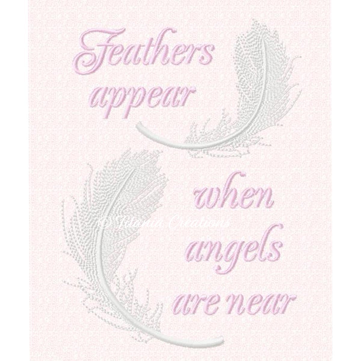 Feathers Appear When Angels Are Near 5x7 6x10 8x12