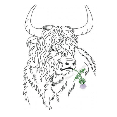 Highland Cattle with Thistle 5x7, 6x10, 8x12 - Titania Creations