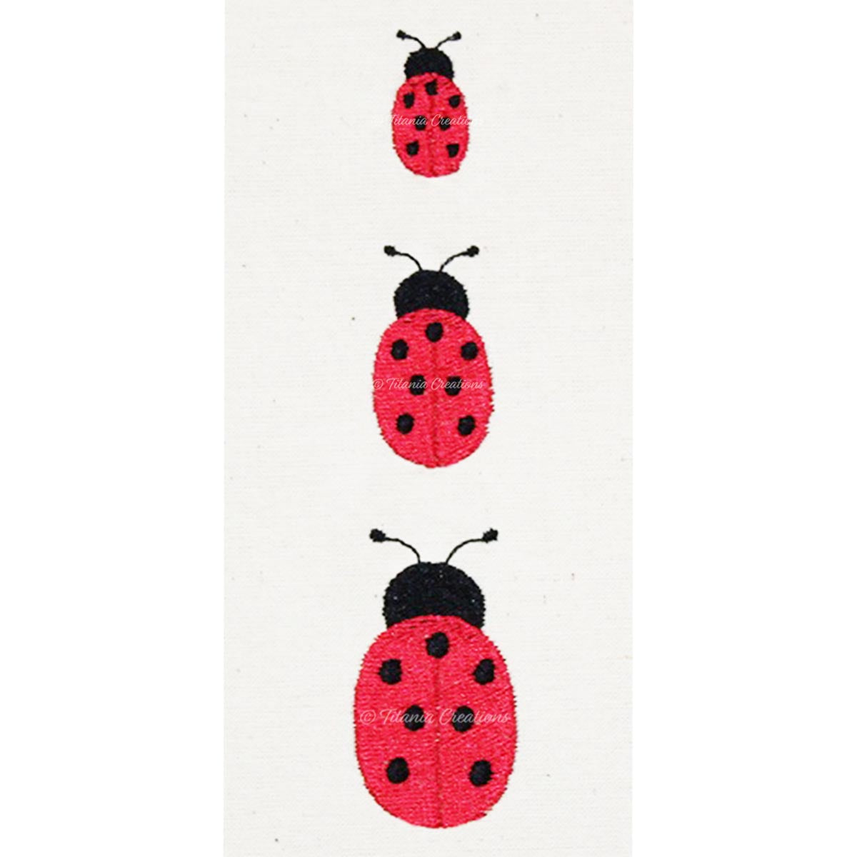 Miniature Ladybird 3 Sizes Included
