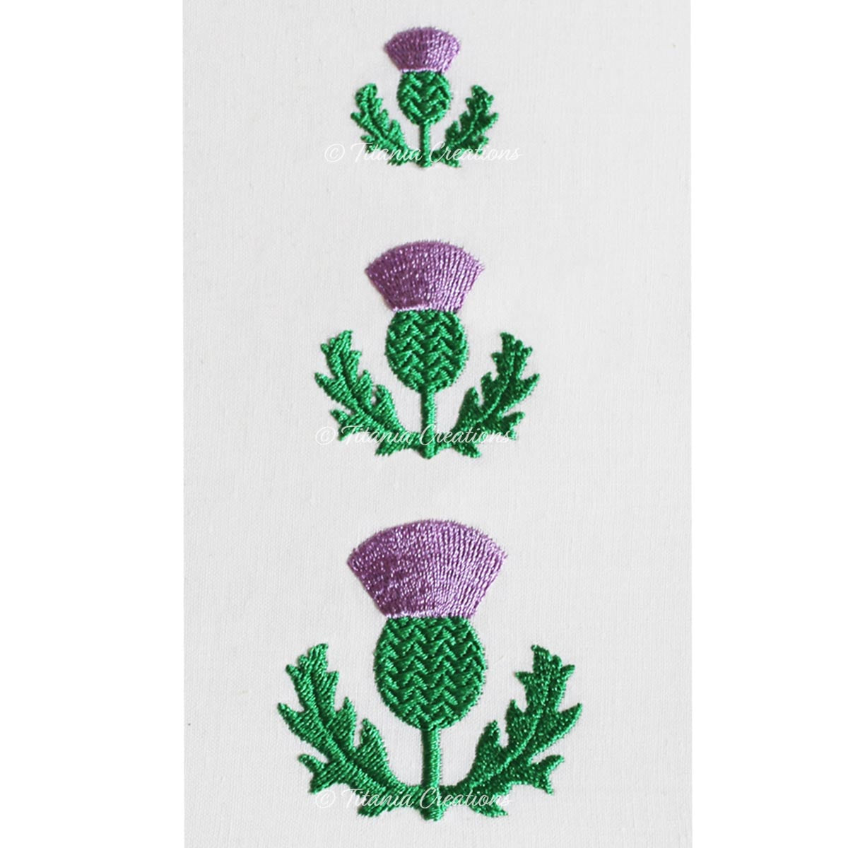 Miniature Thistle Set of Three 4x4