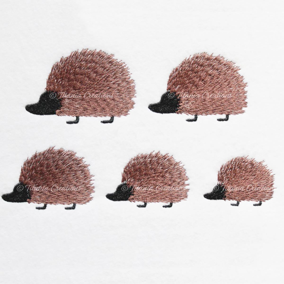 Prim Hedgehog Family 4x4 Set of Five
