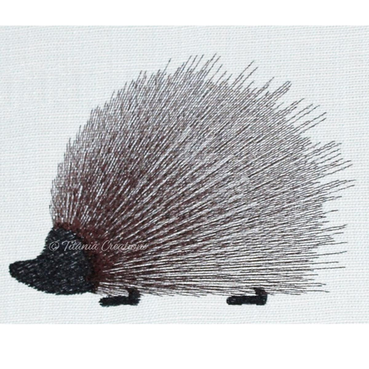 Primitive Hedgehog 4x4 5x7