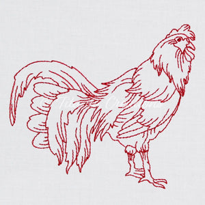 Rooster 4x4 5x7
