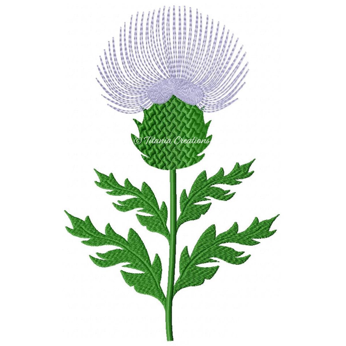 Thistle 5x7 6x10