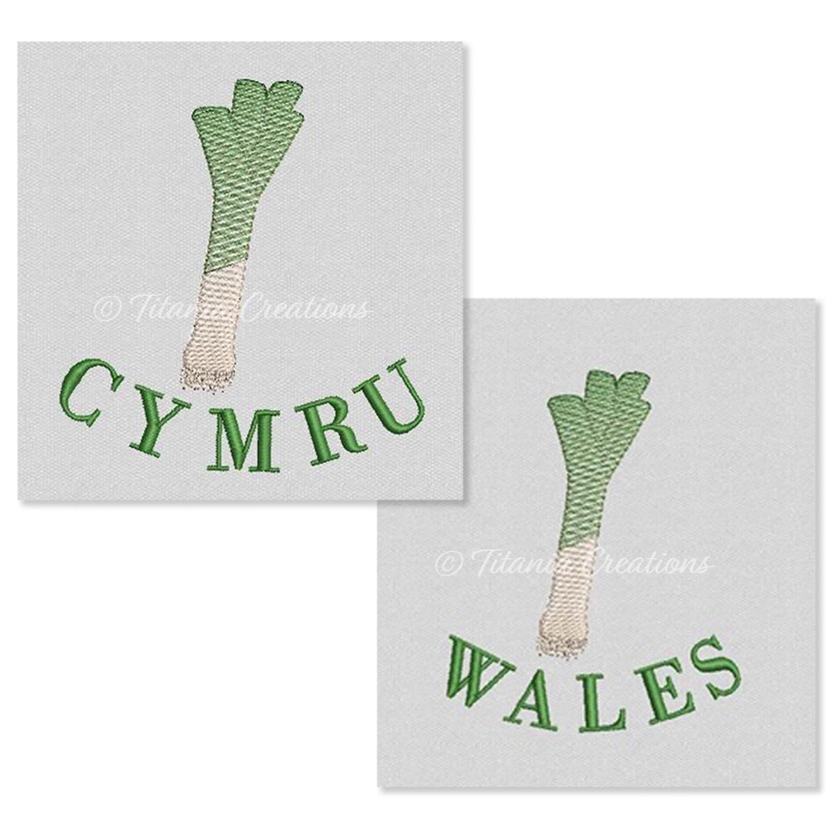 Welsh Leek WALES / CYMRU 4x4